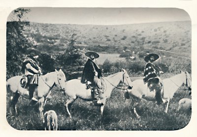Chillan Cowboys by Unbekannt