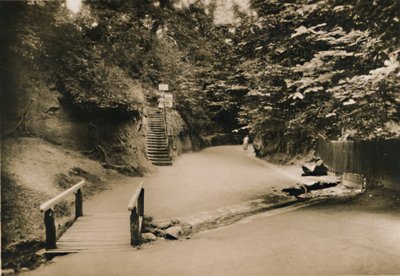 Chine Hollow, Shanklin, I.W. by Unbekannt