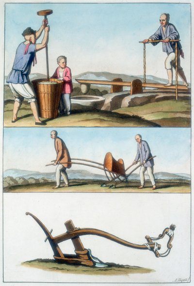 Chinese Agriculture, 1825-1835 by Unbekannt