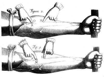 Circulation of the Blood by Unbekannt
