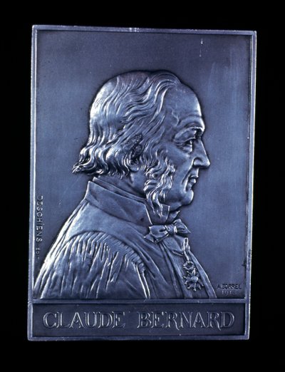 Claude Bernard, French Physiologist by Unbekannt