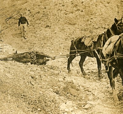 Clearing the battlefield, c1914-c1918 by Unbekannt