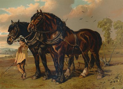 Clydesdale Stallion & Mare by Unbekannt
