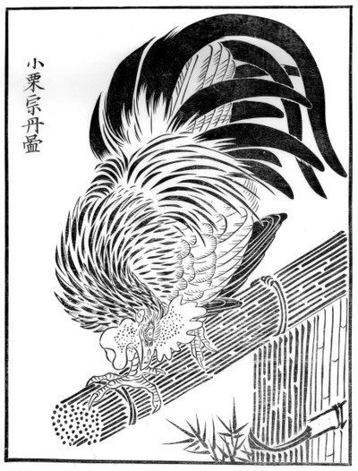 Cock by Unbekannt