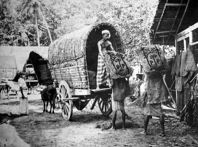 Coconut production, India, 20th century by Unbekannt