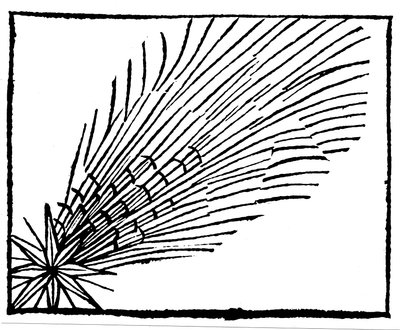 Comet of 684 Halley, 1493 by Unbekannt