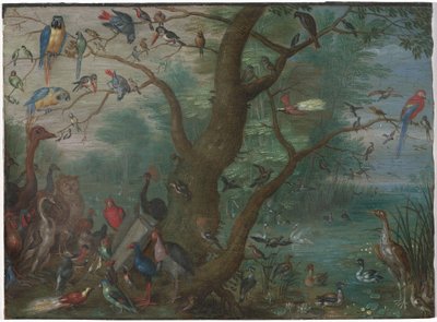 Concert of Birds, 1660-1670 by Unbekannt
