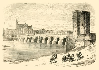 Cordova, 1890 by Unbekannt