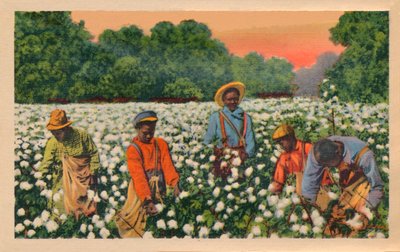 Cotton Picking, Augusta, Georgia, 1943 by Unbekannt