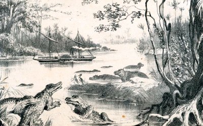 David Livingstone Navigating the Zambezi, Africa by Unbekannt