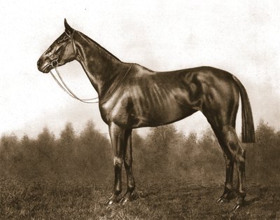 Demure, 1911 by Unbekannt