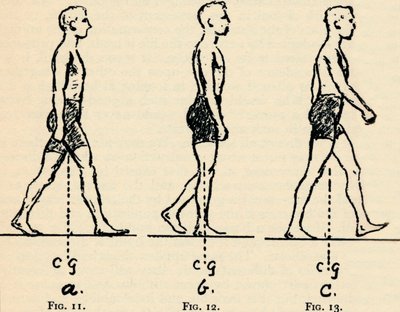 Depicting Main Principles of Locomotion, 1940 by Unbekannt