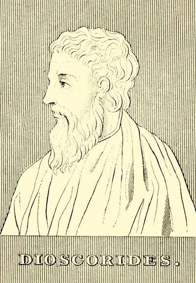 Dioscorides, c40-90 AD by Unbekannt
