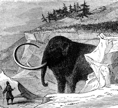 Discovery of a Woolly Mammoth, 1779 c1870 by Unbekannt