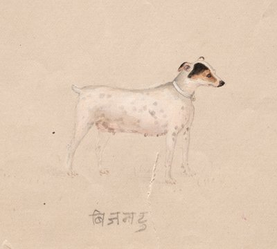 Dog, 1800s by Unbekannt