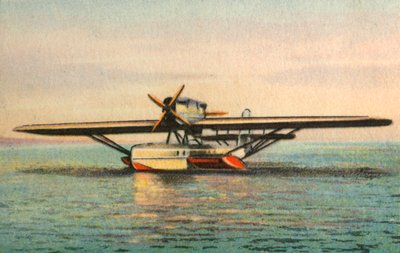 Dornier Wal Flying Boat by Unbekannt