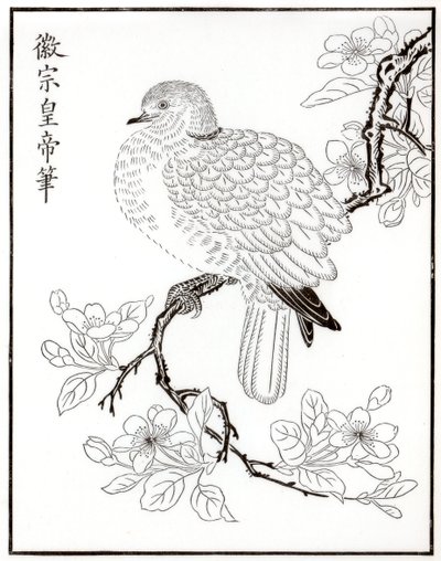 Dove, 1886 by Unbekannt