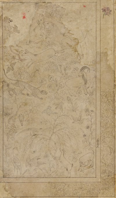 Drawing of Animals and Plants by Unbekannt
