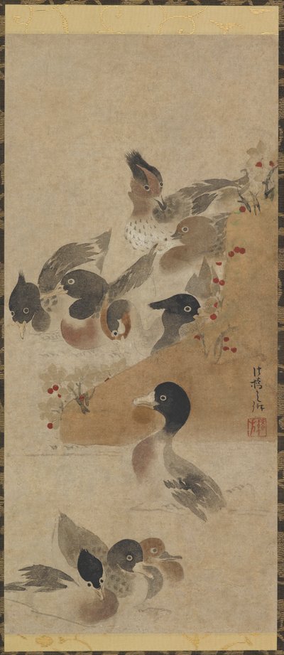Ducks by Unbekannt