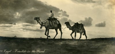 Egypt - Eventide in the Desert by Unbekannt
