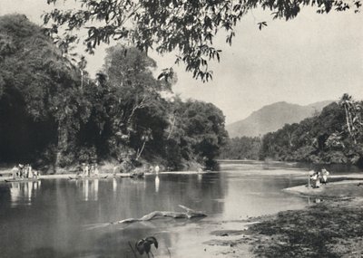 Elephant bathing place at the Mahavaliganga near Kandy by Unbekannt
