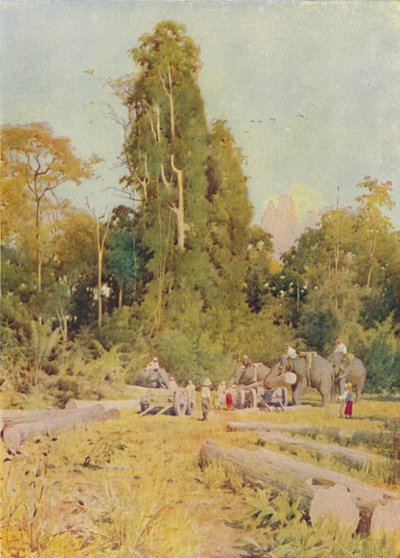 Elephants Piling Teak by Unbekannt