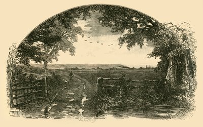 Entrance to Sedgemoor from Chedzoy by Unbekannt