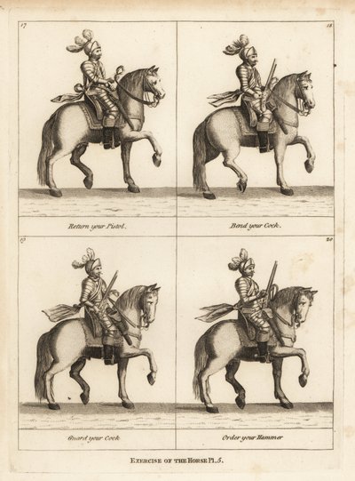 Exercise of the Horse by Unbekannt