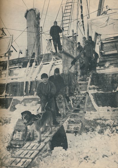 Exercising the Dogs, 1936 by Unbekannt