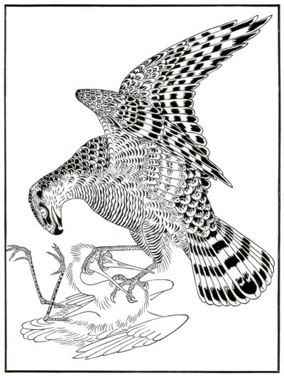 Falcon and egret, 16th century 1886 by Unbekannt