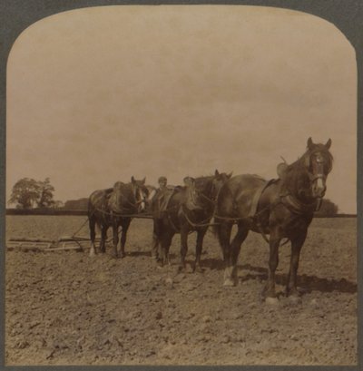Farming in England - Harrowing the Land by Unbekannt