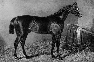Filho Da Puta, 1812-1835, 1911 by Unbekannt
