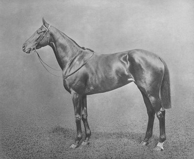 Flair, 1911 by Unbekannt