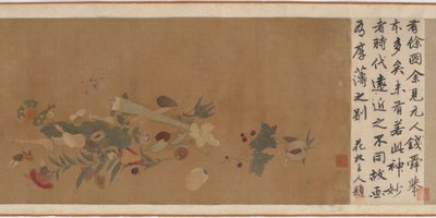 Flowers, fruit, shells, and insects by Unbekannt