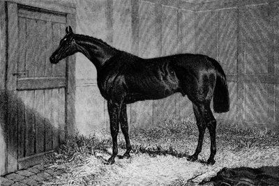 Foig-A-Ballagh, c1841-1860, 1911 by Unbekannt