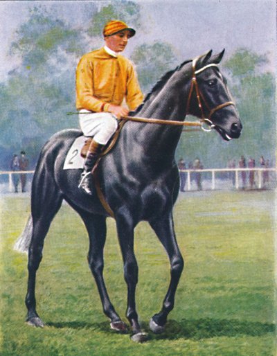 Foray, Jockey: P. Beasley by Unbekannt
