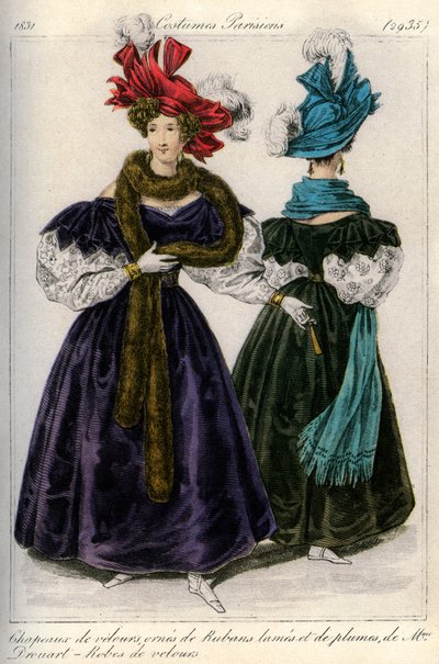 French fashions of the 19th century by Unbekannt