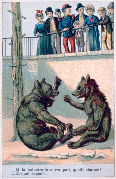 French Zoological Postcard by Unbekannt