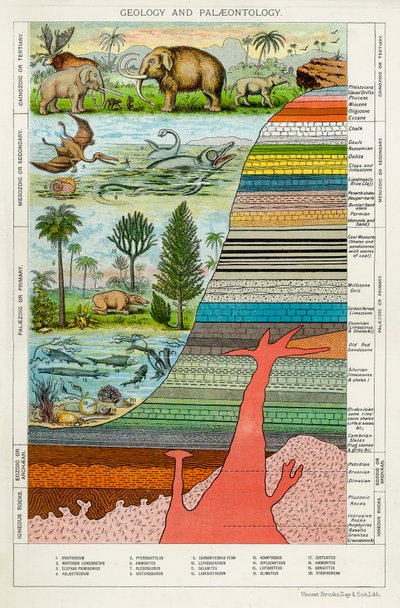 Geology and Palaeontology, c1880 by Unbekannt
