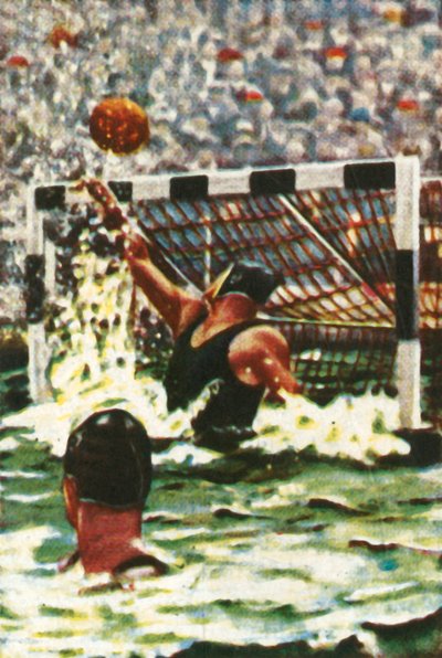 Germany win the water polo by Unbekannt