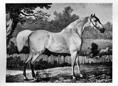 Gimcrack by Unbekannt