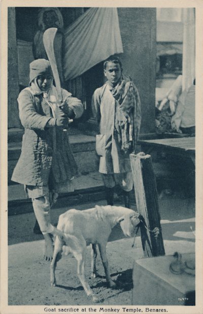 Goat sacrifice at the Monkey Temple, Benares by Unbekannt