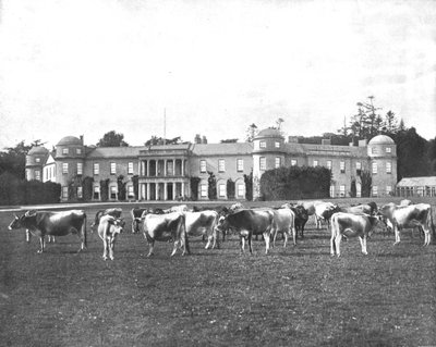 Goodwood, Hampshire by Unbekannt