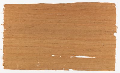 Grasscloth by Unbekannt