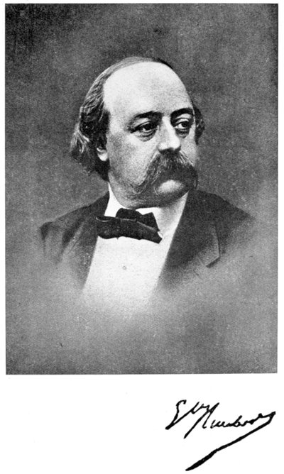 Gustave Flaubert, French Novelist by Unbekannt