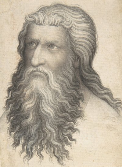 Head of a Bearded Man by Unbekannt