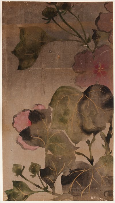 Hibiscus Flowers and Leaves by Unbekannt
