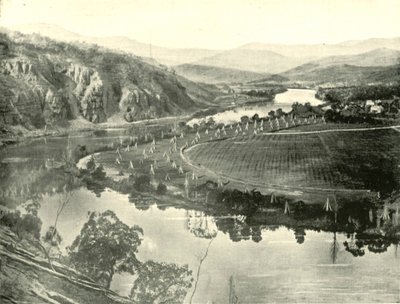 Hop Gardens in Tasmania by Unbekannt