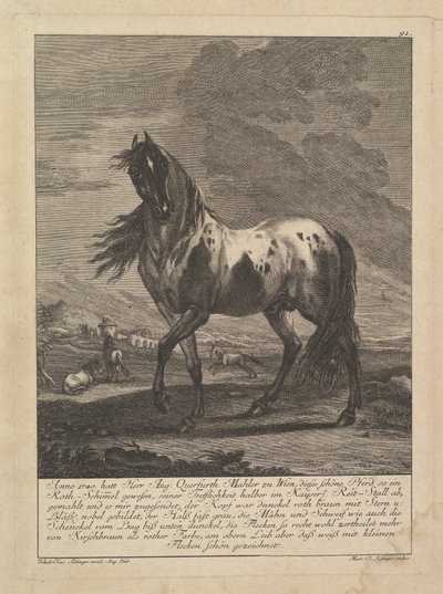 Horse, 18th Century by Unbekannt