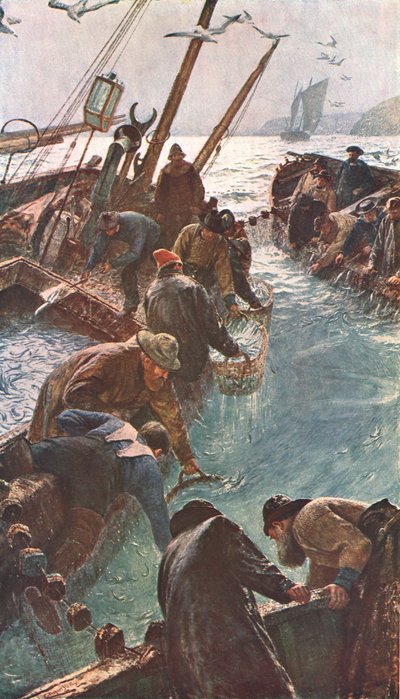 How We Caught the Pilchards by Unbekannt